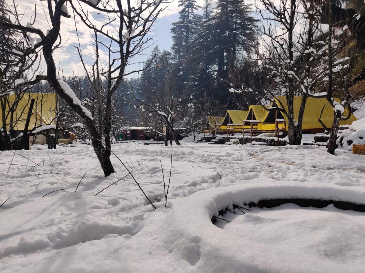 Himtrek Riverside Camps & Hostel Manali Dış mekan fotoğraf