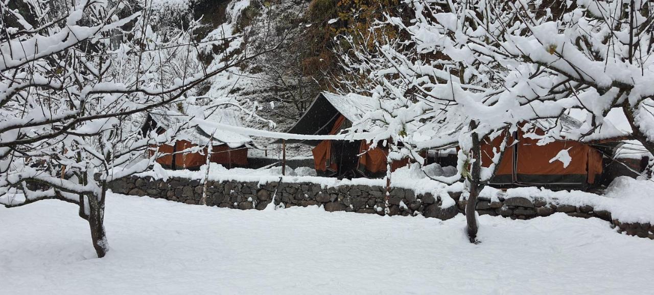Himtrek Riverside Camps & Hostel Manali Dış mekan fotoğraf