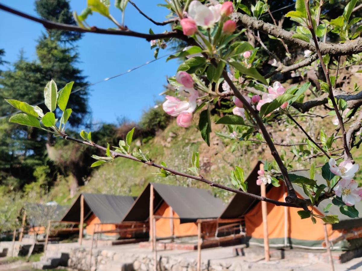 Himtrek Riverside Camps & Hostel Manali Dış mekan fotoğraf