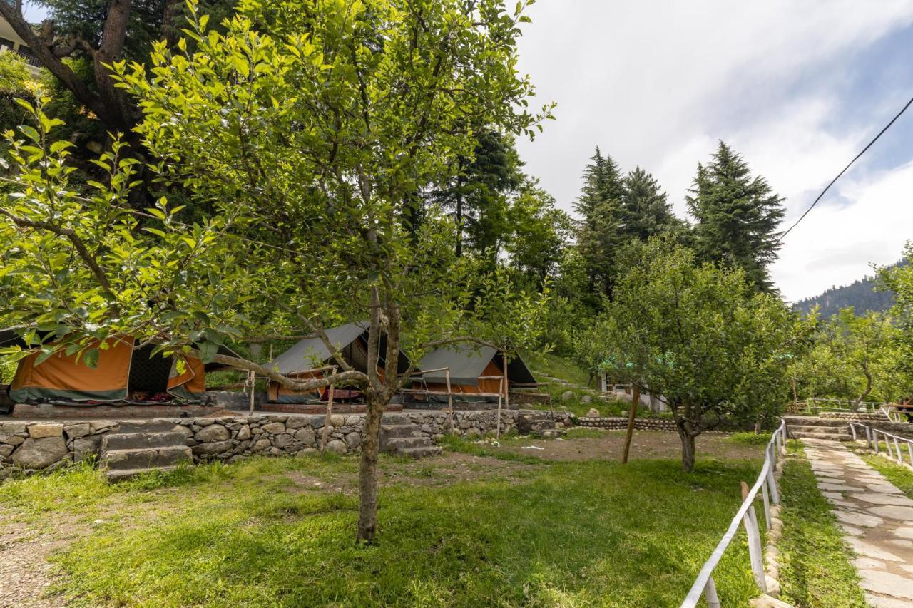 Himtrek Riverside Camps & Hostel Manali Dış mekan fotoğraf