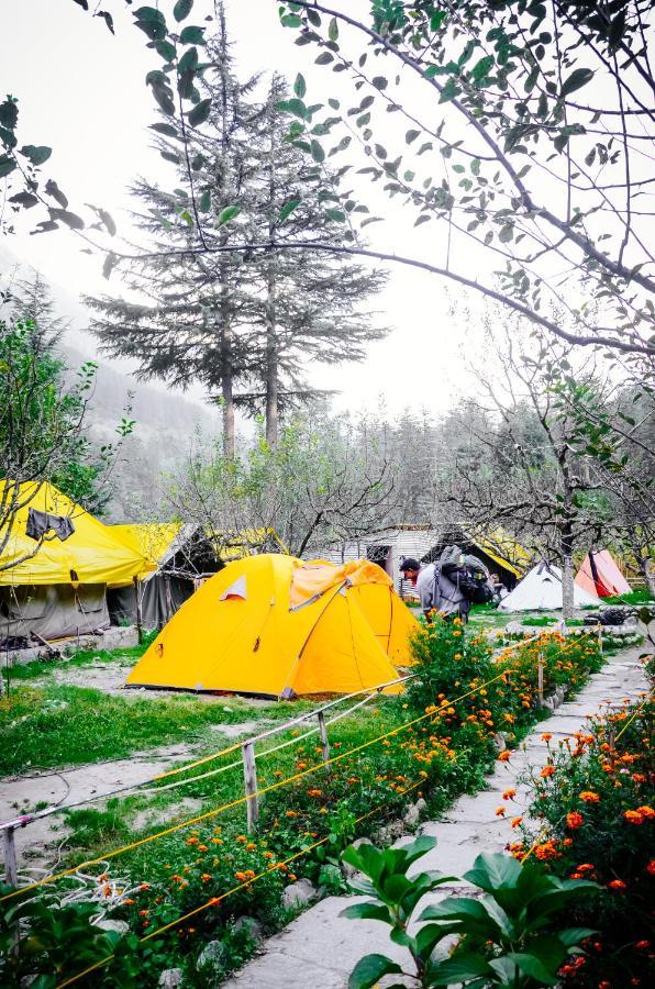 Himtrek Riverside Camps & Hostel Manali Dış mekan fotoğraf