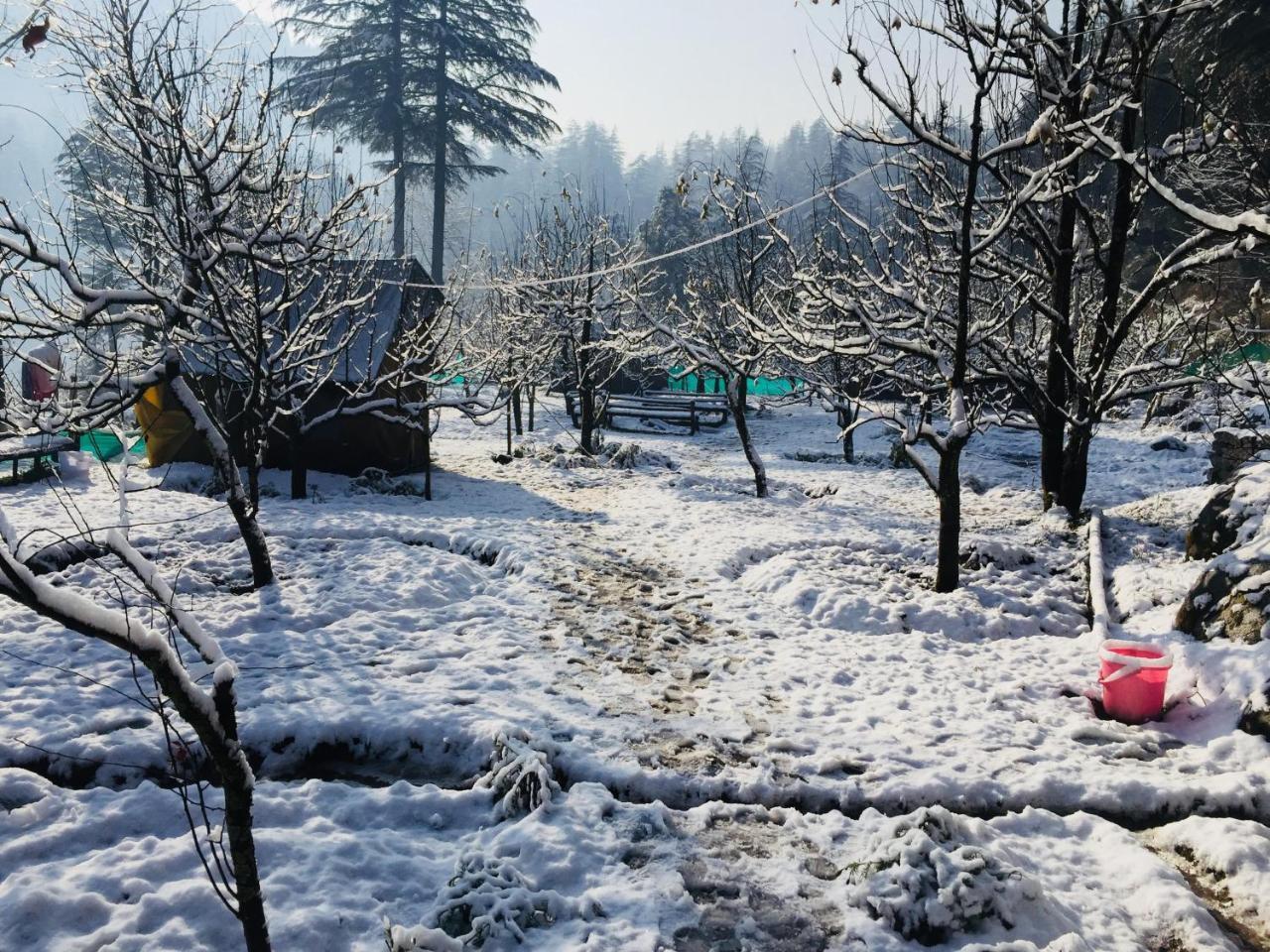 Himtrek Riverside Camps & Hostel Manali Dış mekan fotoğraf