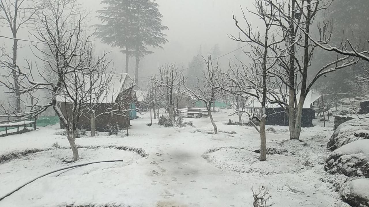 Himtrek Riverside Camps & Hostel Manali Dış mekan fotoğraf